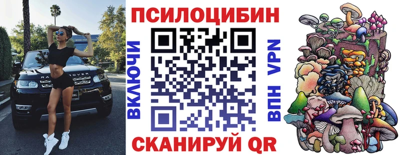 магазин продажи   Камышин  Псилоцибиновые грибы прущие грибы 