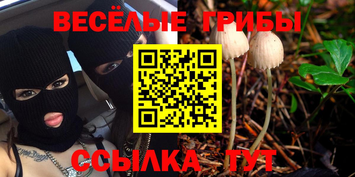 Псилоцибиновые грибы Magic Shrooms  Вход с VPN  Псилоцибиновые грибы Magic Shrooms  Камышин 