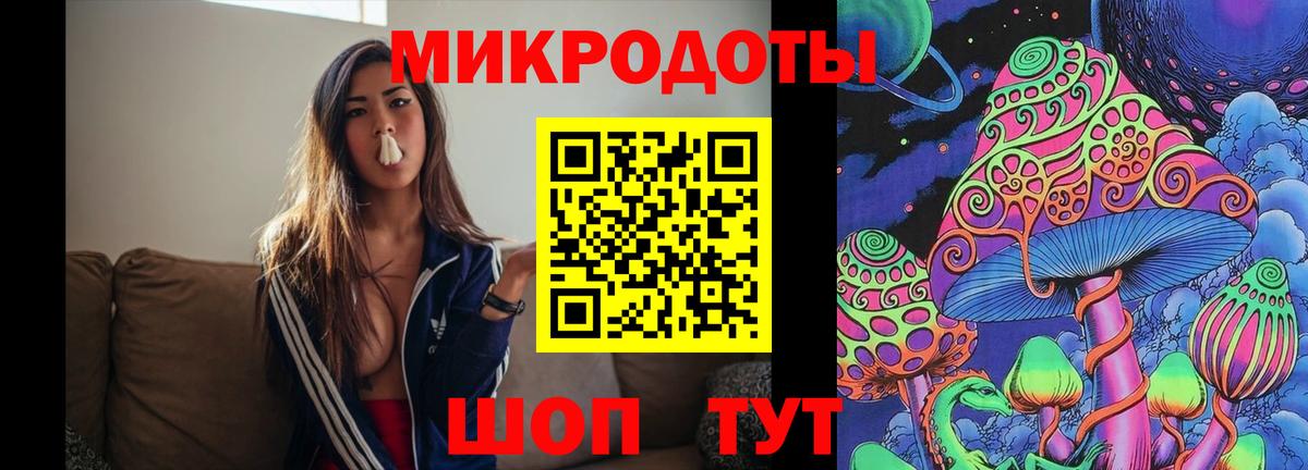 Псилоцибиновые грибы Psilocybe Камышин